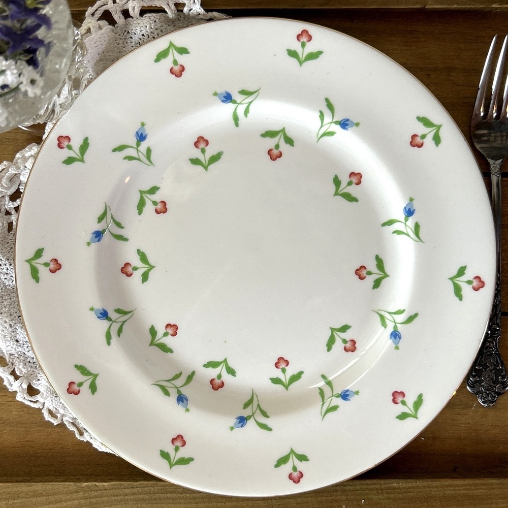 Royal Victoria Fine Bone China 8.25" Salad Plate Floral Made in England